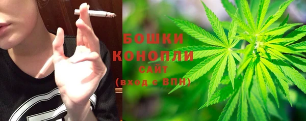шишки Арсеньев