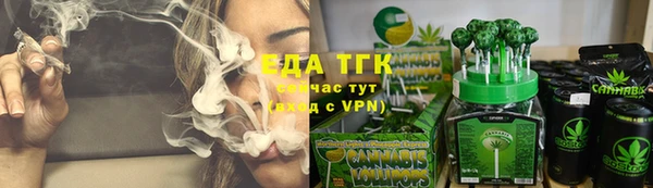 шишки Арсеньев