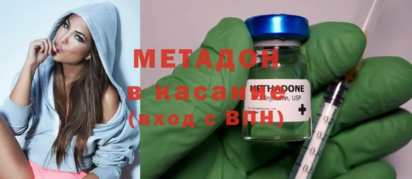 шишки Арсеньев