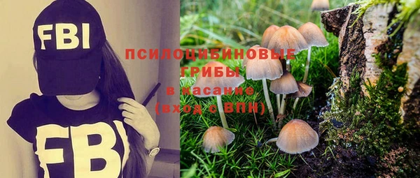 Альфа ПВП Армянск