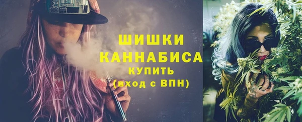 шишки Арсеньев