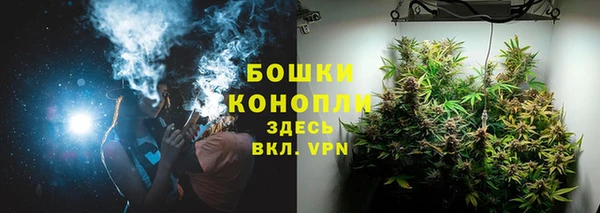 шишки Арсеньев
