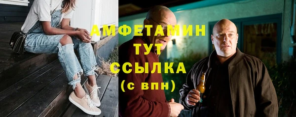 шишки Арсеньев