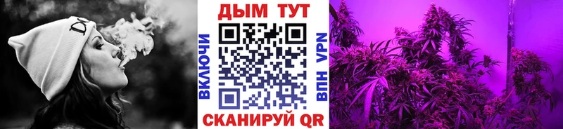 закладка  Никольское  Шишки марихуана гибрид 